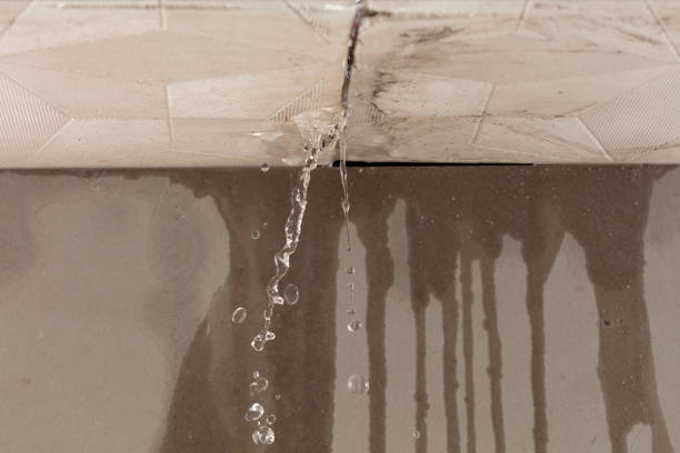 Professional Structural Drying technician working in Embarrass, MN